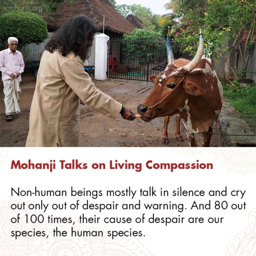 mohanji-quote-living-compassion