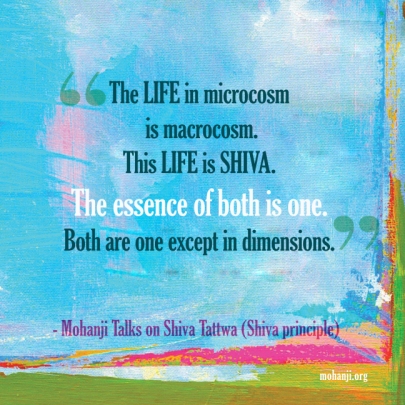 mohanji-quote-shiva-tattwa9-shiva-principle